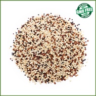 【100% Organic】500g | 1kg ORGANIC TRI COLOR QUINOA SUPERFOOD IMPORTED FROM BOLIVIA
