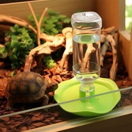 Gecko and Turtle Hydration Bottle & Food Dish Combo