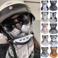 【Magpie】Cycling sun protection mask Orange cat Summer sun protection mask Animal cat Ear-hanging win