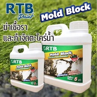 น้ำยากำจัดตะไคร่น้ำและฆ่าเชื้อรา RTB MOLD BLOCK ขนาด 1ลิตร และ 5ลิตร