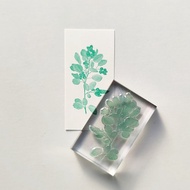 Biology Stamp 六月漿果