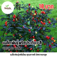 7-Color Ornamental Chili Seeds 50 Seeds/Pack
