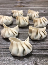 Premium Japanese Gyoza/Dumplings