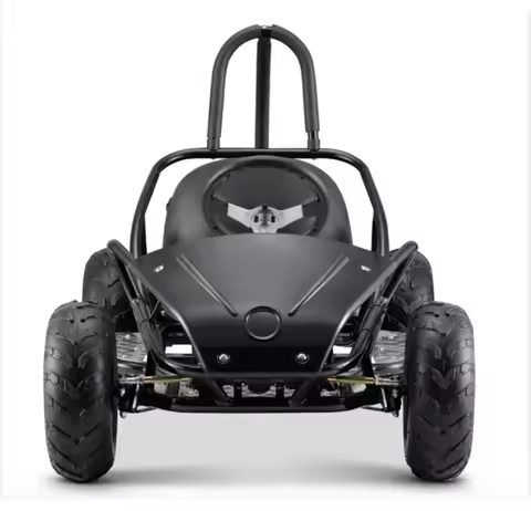 Professional 168.9cc 4 Stroke Steel CVT F-N-R Electric Road F1 Racing Karting Car Kids Adult Go Kart