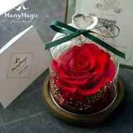 厄瓜多爾特大玫瑰永生保鮮花