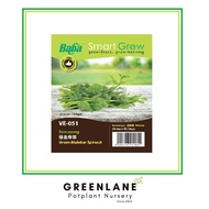 Baba Green Malabar Spinach Seed 绿皇帝菜