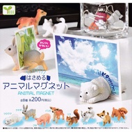 Yell Animal Magnet Capsule (Set of 8)