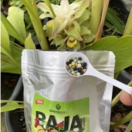 Baja SB Untuk Pokok Kunyit Pack 300pokok organik+subur+bunga/buah Berat 1000gram+free 500gram