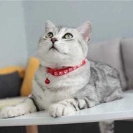 Kalung Kucing Lonceng Hewan Peliharaan / Kalung Kucing Lonceng Tali