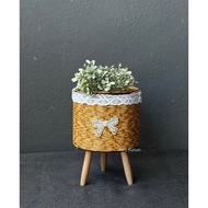 Mini planter stand flower pot basket rack container with lace Rak pasu saiz kecil bunga pokok decor 