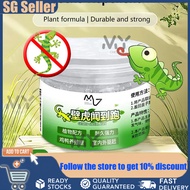 [SG] Lizard Killer Gecko Repellent Magic Box Plant Formula Upgraded Lizard Trap Lizard Killer Super 