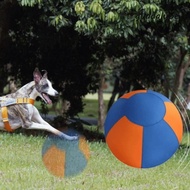 GUADALUPE Dog Giant Toy Ball, Wear Resistant Herding Ball
