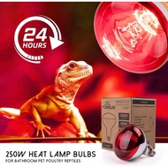BR40 Red Heat Lamp Bulbs, 250 Watt Infrared Light Bulb, E26 Medium Base, for Bathroom/Light Therapy 