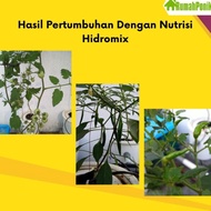 Terlaris Pupuk Nutrisi Ab Mix Sayuran Buah 5 Liter Hidroponik Ab Mix