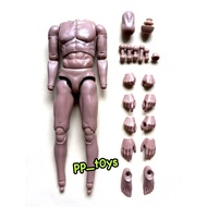 male body Model 1:6 CCtoys androgynous figure joint movable 12 1/6