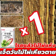 กำจัดต้นไม้และไผ่ให้หมดจด สารกำจัดก่อไผ่ ยากำจัดต้นไม้ 500g สูตรเข้มข้น กำจัดวัชพืชรากเน่า ผลติดทนนาน ไม่เป็นอันตรายต่อดิน สารกำจัดกอไผ่ ยาฆ่าตอไม้   ตรงไปที่ราก รากไม้เน่า300% ยาฆ่าไผ่ ผงกำจัดต้นไผ่ ยาฆ่าหญ้า