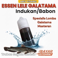Esen Ikan lele Aroma Blenok Kaweni Walang Untuk Galatama Kolam Harian