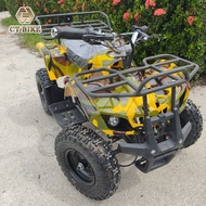 Kids New ATV 36V 12AH Battery Multiple Pattern Extreme Ride Electric Rechargeable Car / Sport ATV