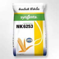 เมล็ดพันธุ์ข้าวโพดลูกผสม syngenta NK6253 (3.5หุน) น้ำหนัก 10 กก. เมล็ดพันธุ์ผัก เมล็ดพันธุ์พืช ผักสว