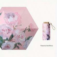 Women's All-Weather Sun Protection Umbrella, Lightweight And Portable, UV Protection, Essential For 