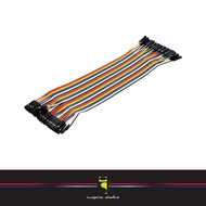 (READY STOCK) 20CM 40P JUMPER WIRE (FEMALE TO FEMALE)