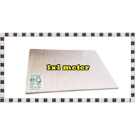 1meter x 1 meter or 39.3 x 39.3 INCHES