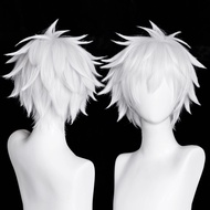 Silver White Cosplay Wig, Probeauty Short Fluffy Synthetic Costume Anime Wigs for Halloween (Silver 