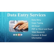 Professional Data Entry
