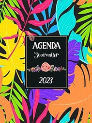 Agenda 2023 journalier A4: Planificateur et organiseur journalier pratique pour l'année 2023 , 1 pag