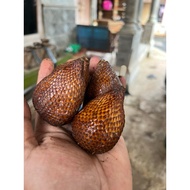 Salak Pondoh Fresh Buah Salak Pondoh Asli Banjarnegara Manis Grade C 1kg isi  25-30 buah