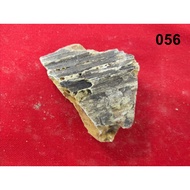 Winders Yellow Frankincense Stone Transfiguration Forest 056
