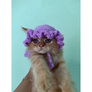 Knitted cat buckethat hat for cat