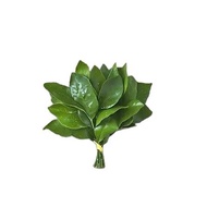 Decorative Fridge Magnets Grapefruit Leaves Acrylic Fridge Magnets Lucky Refrigerator Decoration