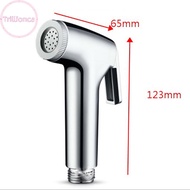 Trillionca Chrome Bidet  Tap Hygienic Toilet  Shower Head Hose Bathroom Flushing SG