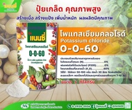 // แพ็ค 20 กิโลกรัม // ปุ๋ยเกล็ด แนนซี่ 0-0-60 ( 1 กิโลกรัม ) เร่งแป้ง เพิ่มน้ำหนัก เร่งสี บำรุงผล เ