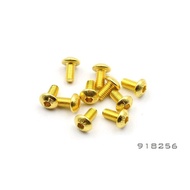 Aden RC SNRC 918256-GD Accessories M2.5 * 6 Gold Screws