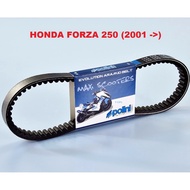 Honda Forza 250 Polini Belt / vbelt / transmission belt / cvt belt (Polini Performance Parts)
