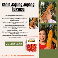 25 BIJI BENIH JAGUNG JEPANG RAKSASA IMPORT (REPACK)