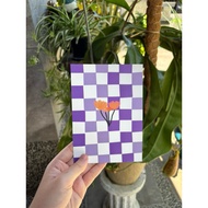 Purple Square Postcard (Art By Yeewen) Bouquet Drawing