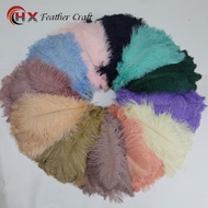 Feather 35-40cm Ostrich Feather DIY Vase Decoration Colorful Big Ostrich Feather Ready Stock Feather