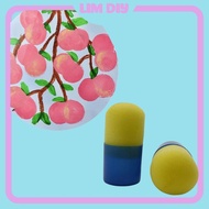 Sponge in tablet form, used for painting, used for LIM DIY finger painting