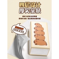 Botare Air Cushion Hanging Tissue Paper 130mmx175mm 4ply thick