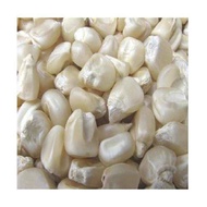 Jagung putih kering 1kg