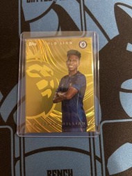 Topps 足球球星卡 - Estevão Willian