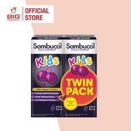 SAMBUCOL KIDS BLK ELDERBERRY 250ML 2S