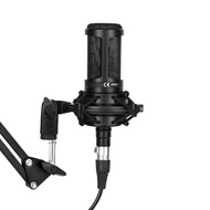 AT2020 Condenser Microphone Computer Desktop Microphone Recording Dedicated 48V Microphone K Song Au