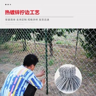 ST&amp;💘Five Brothers  Galvanized Wire Mesh Chain Link Fence Orchard Fence Mesh Breeding Chicken Duck Dog Cattle Sheep Prote