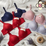 SIZE 38 40 42 44 BH Women's Bra VIP8 3040 BH Push Up Foam Bra Without Wire Adult Women's Bra Retail 