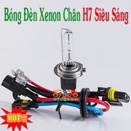 High Quality H7 Xenon Bulb