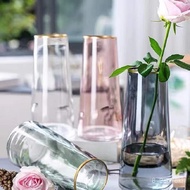 🚓Creative Simplicity insNordic Gold Painting Transparent Glass Vase Dried Flower Living Room Flower Vase Ornament Decora